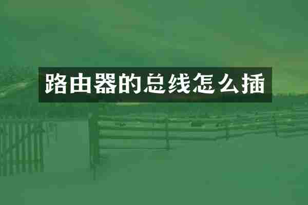 路由器的总线怎么插