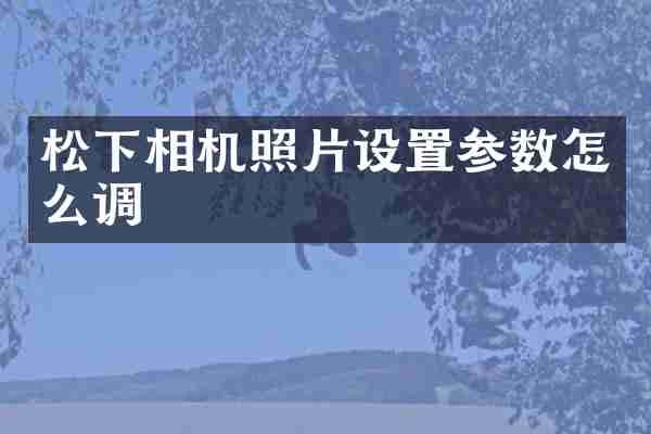 相机照片设置参数怎么调