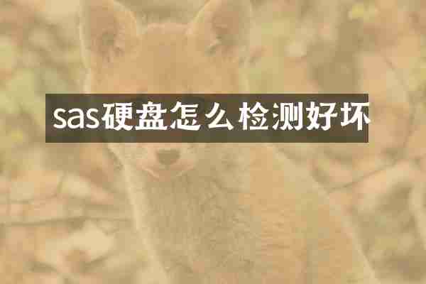 sas硬盘怎么检测好坏