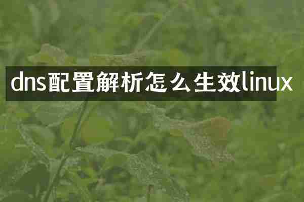 dns配置解析怎么生效linux