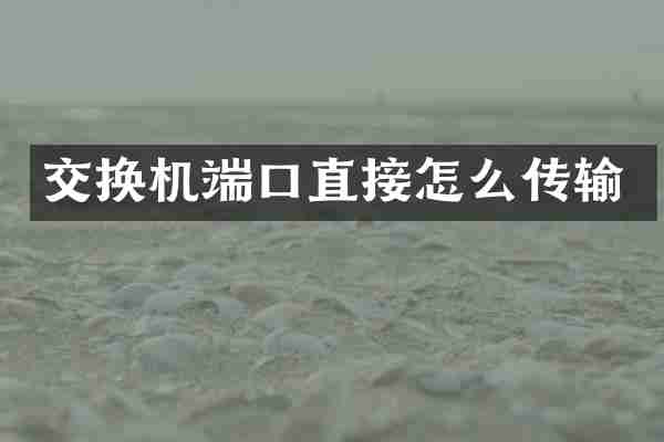 交换机端口直接怎么传输