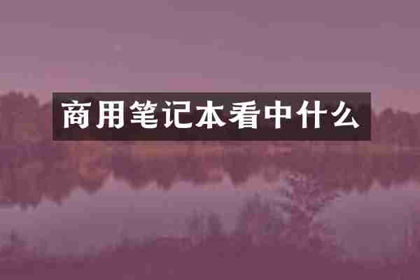 商用笔记本看中什么