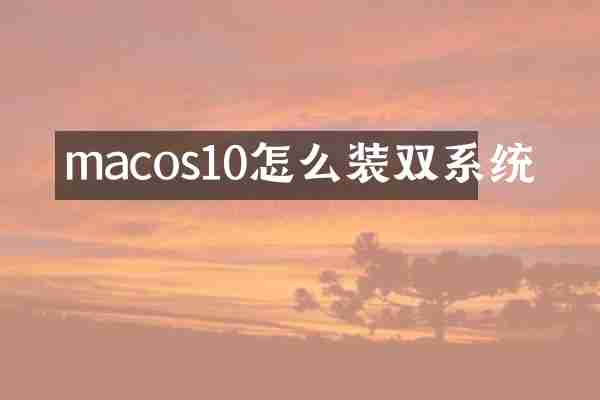 macos10怎么装双系统