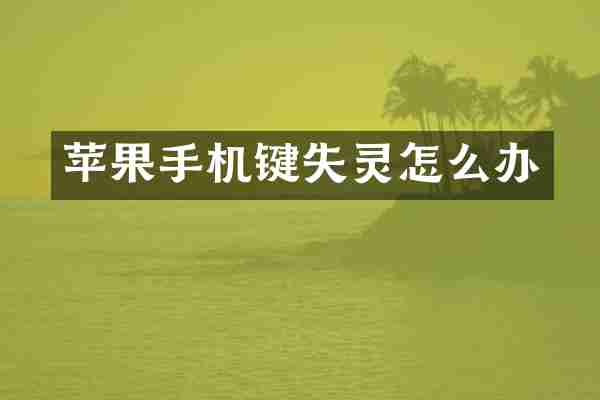 苹果手机键失灵怎么办