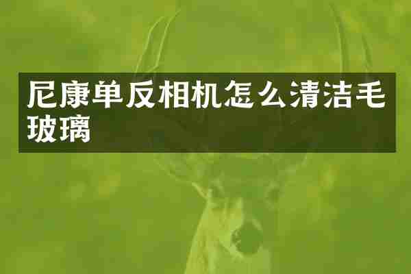 尼康单反相机怎么清洁毛玻璃