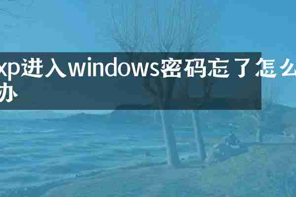 xp进入windows密码忘了怎么办