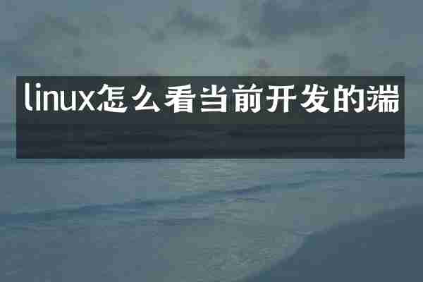 linux怎么看当前开发的端口
