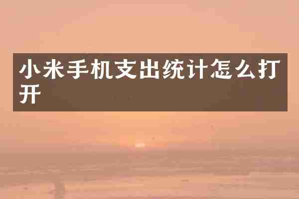 小米手机支出统计怎么打开