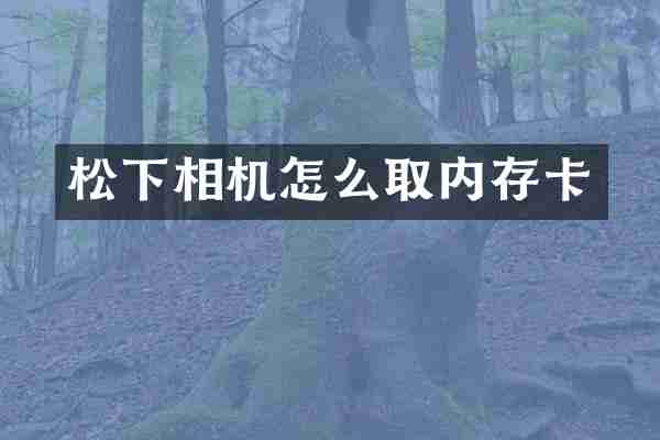 松下相机怎么取内存卡