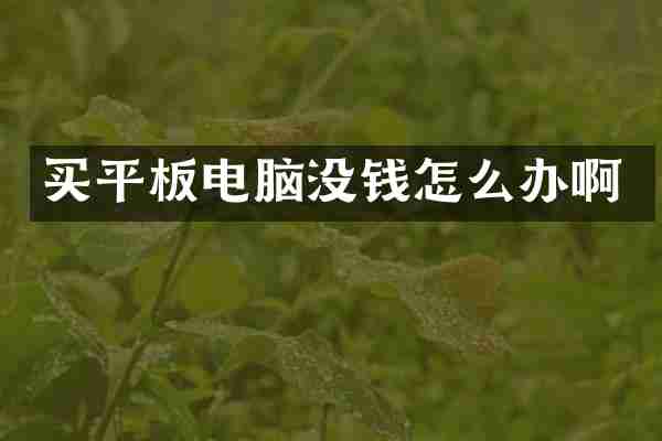 买平板电脑没钱怎么办啊