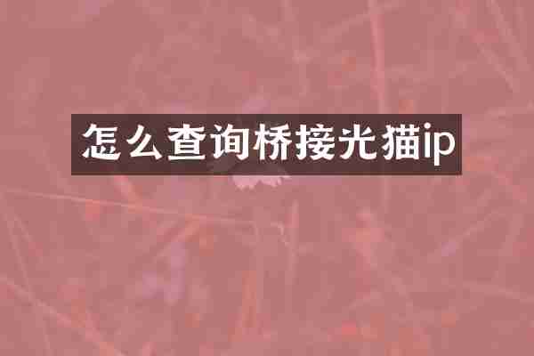 怎么查询桥接光猫ip