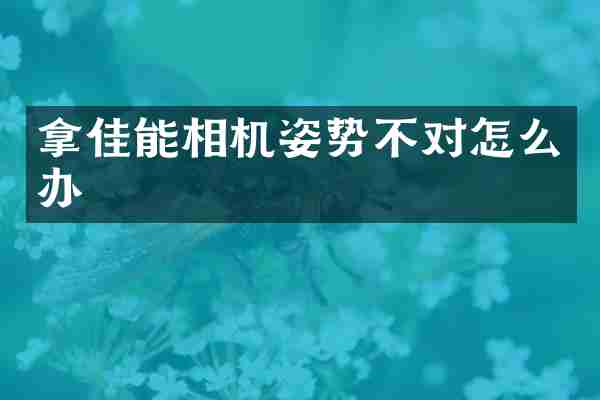 拿佳能相机姿势不对怎么办