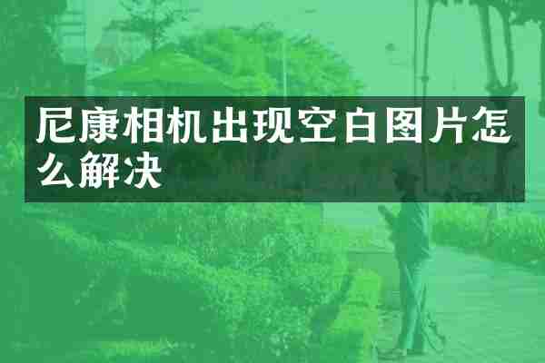 尼康相机出现空白图片怎么解决