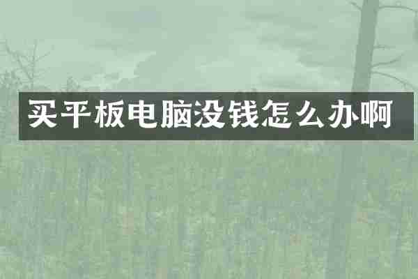 买平板电脑没钱怎么办啊