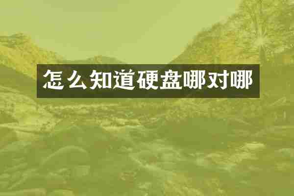 怎么知道硬盘哪对哪
