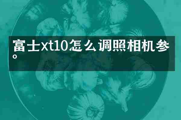富士xt10怎么调照相机参数