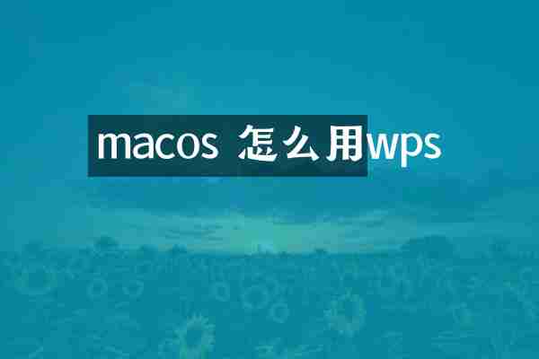 macos 怎么用wps