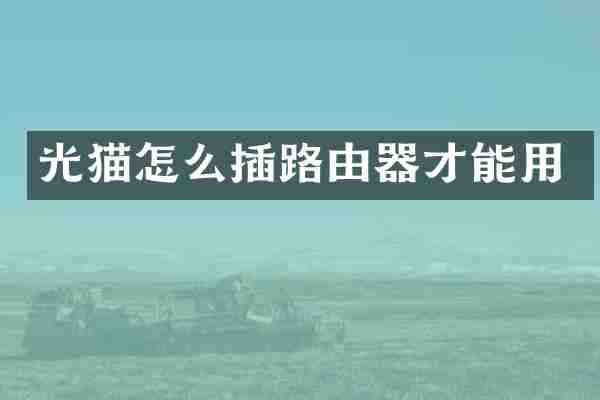 光猫怎么插路由器才能用