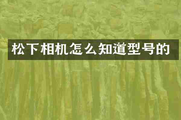 相机怎么知道型号的