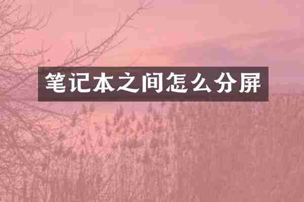 笔记本之间怎么分屏