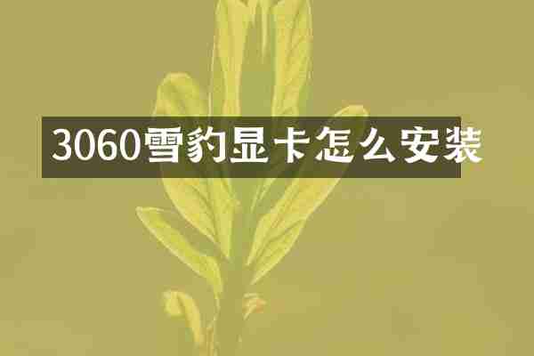 3060雪豹显卡怎么安装