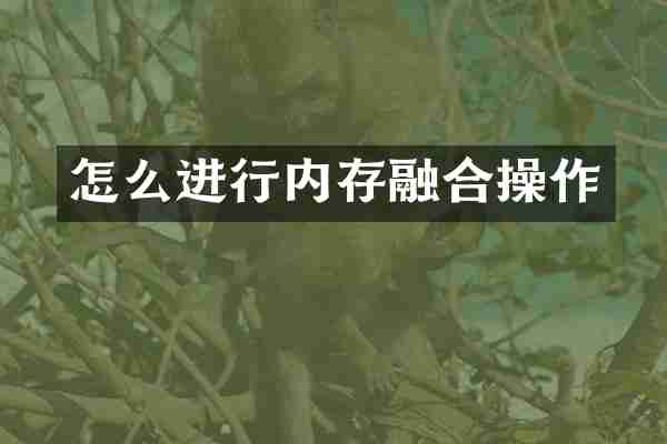 怎么进行内存融合操作