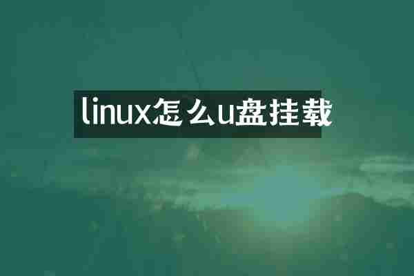 linux怎么u盘挂载
