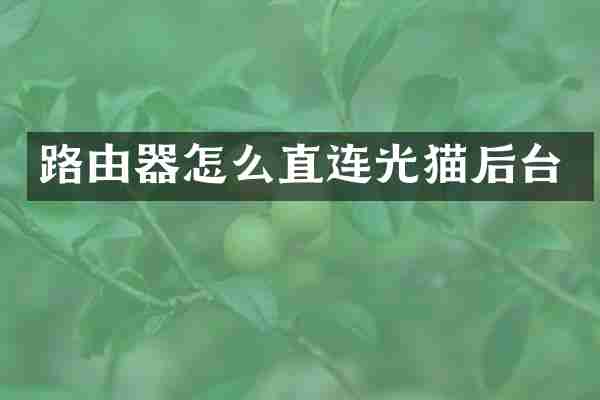 路由器怎么直连光猫后台