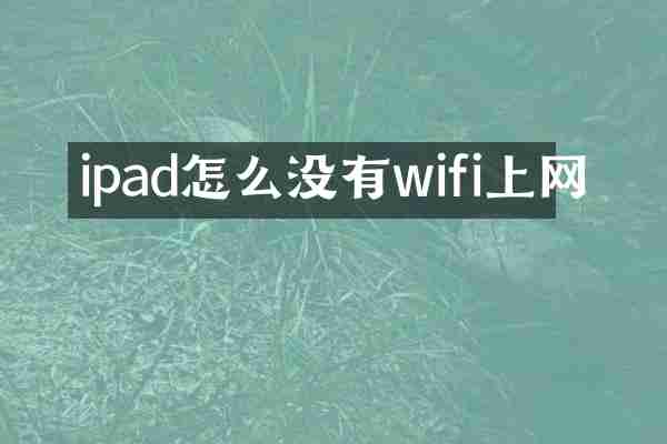 ipad怎么没有wifi上网