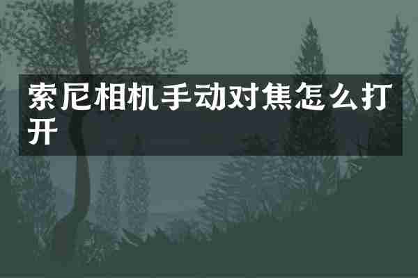 索尼相机手动对焦怎么打开