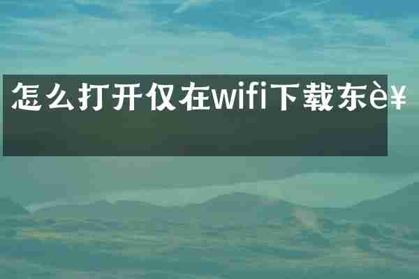 怎么打开仅在wifi下载东西