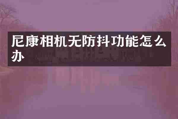尼康相机无防抖功能怎么办