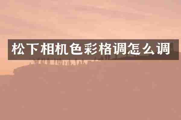 相机色彩格调怎么调