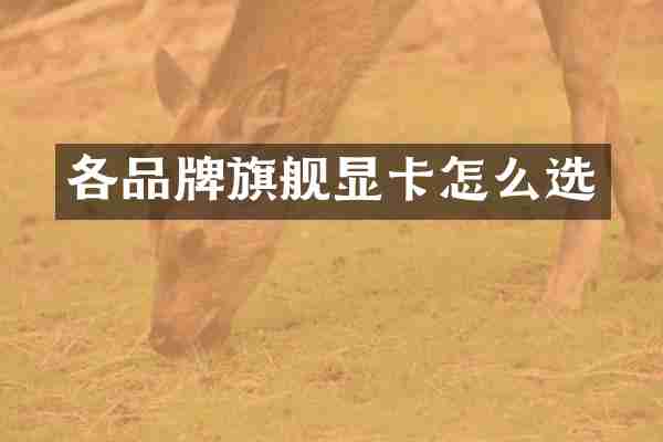各品牌旗舰显卡怎么选