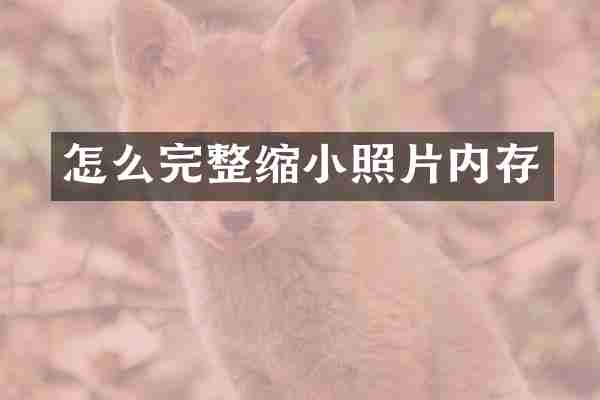 怎么完整缩小照片内存