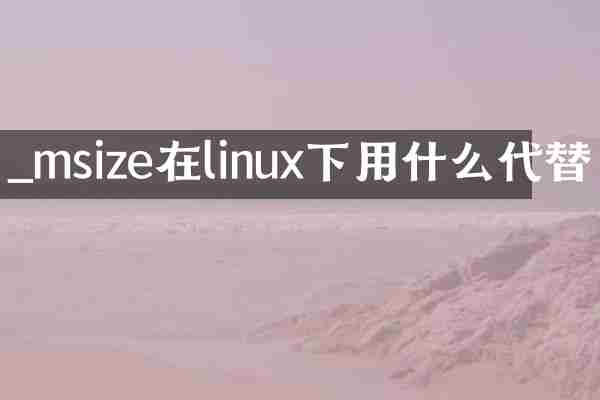 _msize在linux下用什么代替