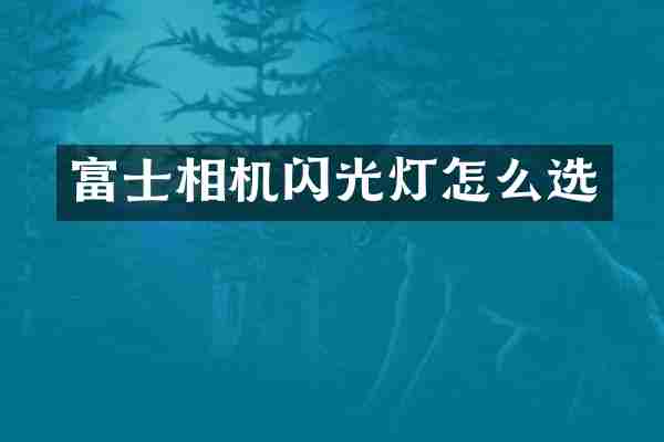 富士相机闪光灯怎么选