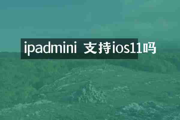 ipadmini 支持ios11吗