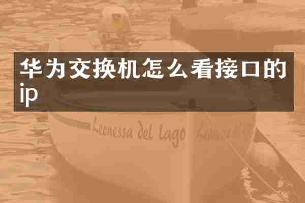 华为交换机怎么看接口的ip