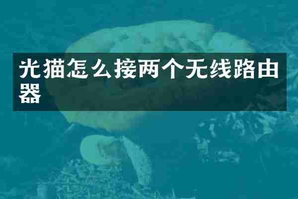 光猫怎么接两个无线路由器