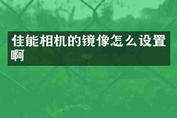 佳能相机的镜像怎么设置啊