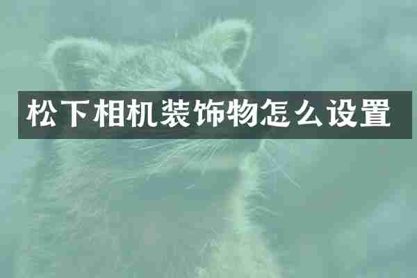 松下相机装饰物怎么设置