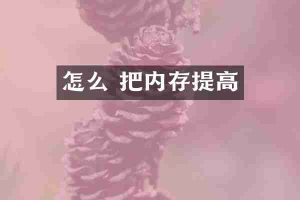 怎么 把内存提高