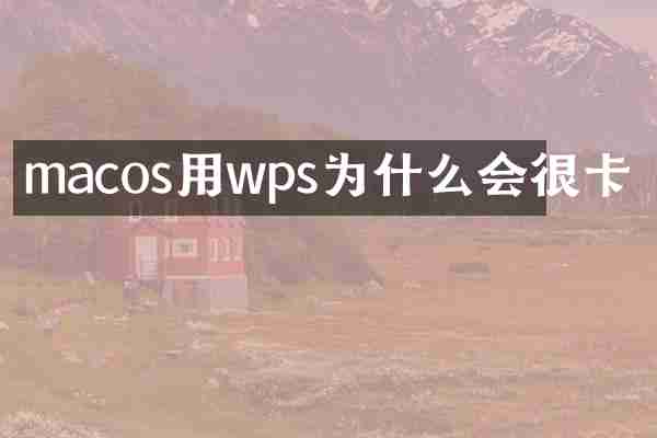 macos用wps为什么会很卡