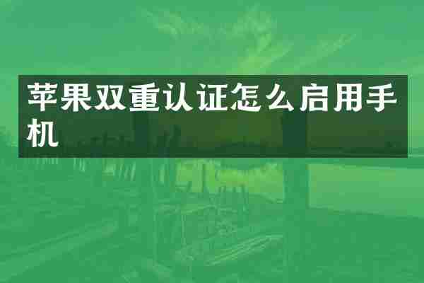 苹果双重认证怎么启用手机