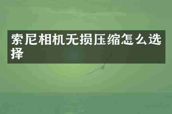索尼相机无损压缩怎么选择