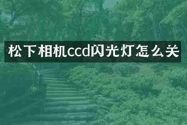 相机ccd闪光灯怎么关