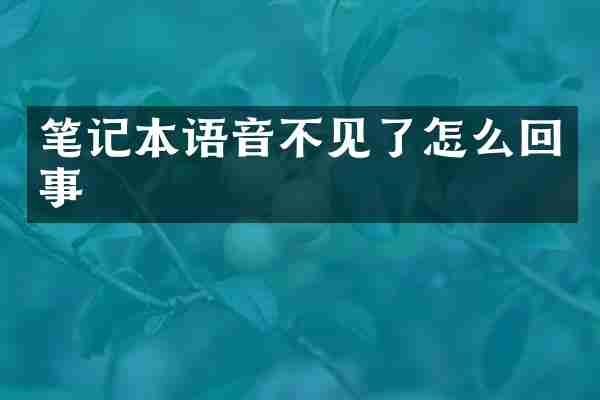 笔记本语音不见了怎么回事
