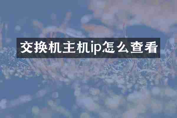 交换机主机ip怎么查看