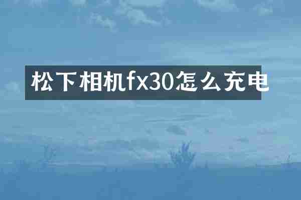 松下相机fx30怎么充电